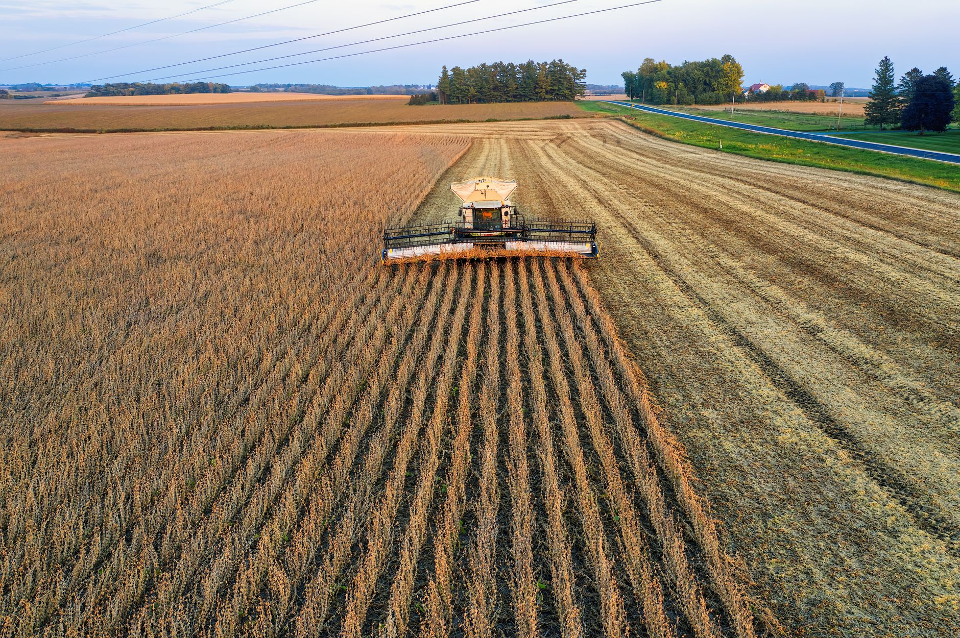 De La Espriella propone convertir los Llanos Orientales en polo agroindustrial como el Mato Grosso