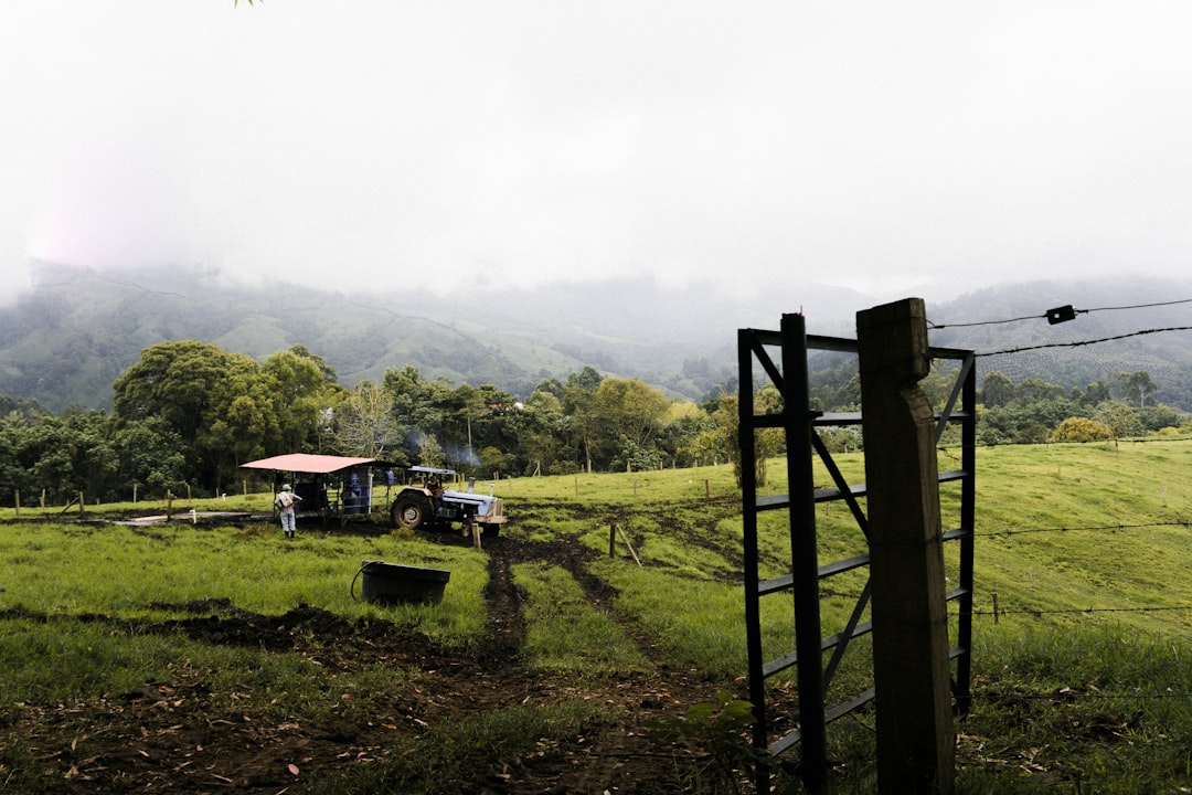 Puracé enfrenta emergencia por ceniza volcánica y sequía del fenómeno de El Niño